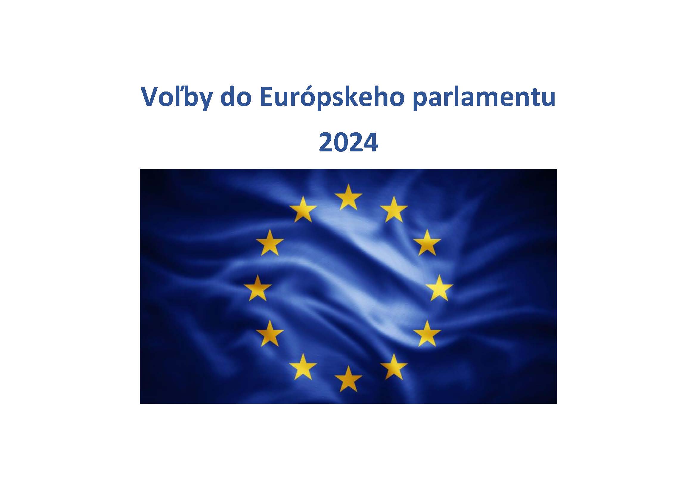 Voľby do Európskeho parlamentu obrazok