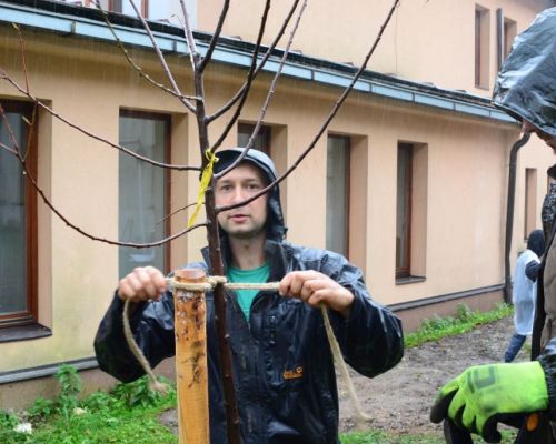 Keď stromy spájajú