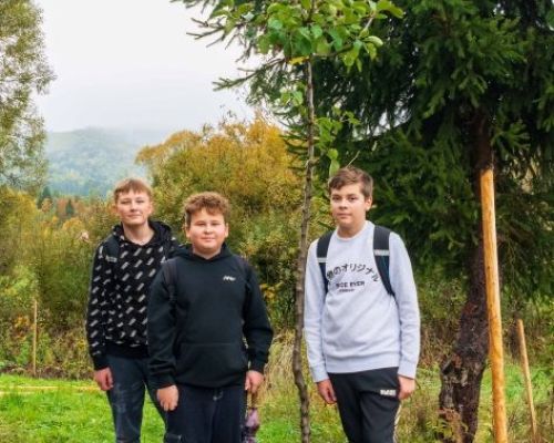 Keď stromy spájajú