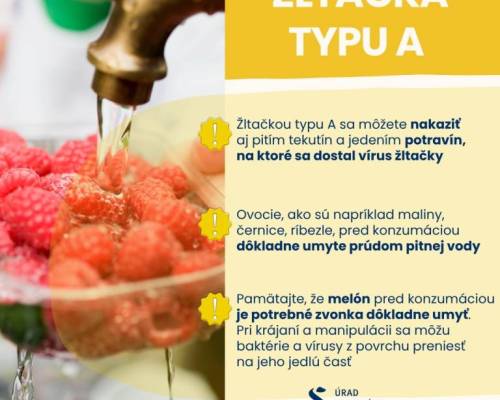 Prevencia žltačky typu A
