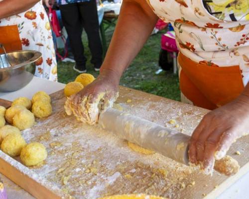61_Zemiakovy_rodinny_festival_spojil_malych_i_velkych_original